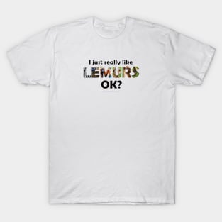 I just really like lemurs, ok? - wildlife oil painting word art T-Shirt